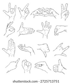 Hand gesture sketch set. Palm indicates fist, handshake, peace and love. Hand icon set. Contains gestures, collection of vector icons in line form isolated on transparent background.