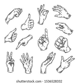 Hand gesture sketch. Vector illustration isolated on white Arm sketched. Thumb up, victory, peace doodle line set Drawing of hands