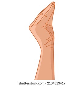 Hand Gesture. Vector. Color Graphics. Sign With The Fingers. Intercultural Communication. Emotions. Linear Drawing. White Background.