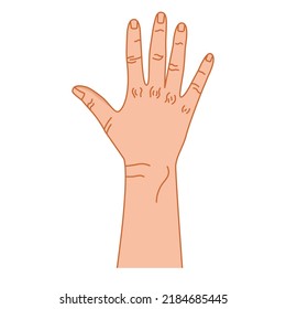 Hand Gesture. Hand. Vector. Color Graphics. Sign With The Fingers. Intercultural Communication. Emotions. Linear Drawing. White Background.