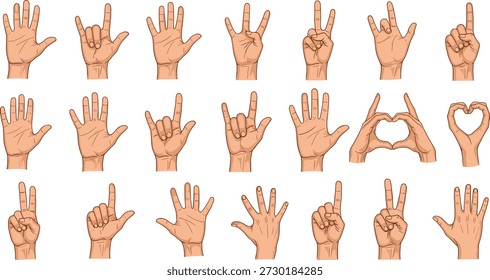 Ilustração de vetor gesto de mão com sinais expressivos, poses de dedo simbólico, elementos ASL, comunicação não verbal conceito arte
