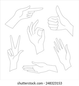 Vector Set Female Hands Gestures Woman Stock Vector (Royalty Free ...