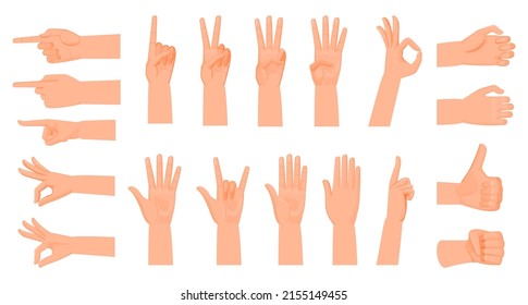 Hand gestures. Counting to five on fingers, cartoon flat style. Sign language