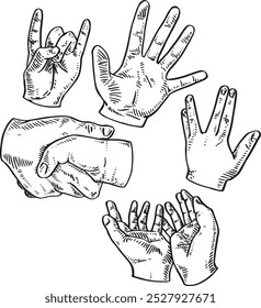 Hand gestures - hand drawn realistic vector illustration set