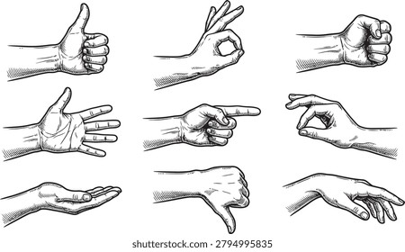 Hand Gestures in Engraving Style . Hand Gesture Set Featuring Various Expressive Communication Signs and Manual Illustrations