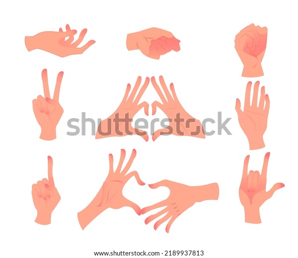 Hand Gestures Illustration Holding Gestures Elegant Stock Vector ...