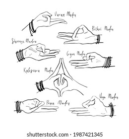 Hand gestures
Isolated vector illustration of yoga hands position
