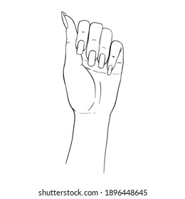 Gestos manuales de ilustración vectorial de contorno. Dibujo femenino de palma de la mujer. Mano vacía mostrando, mano hermosa mujer sosteniendo aislada sobre fondo blanco.