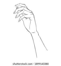 Gestos manuales de ilustración vectorial de contorno. Dibujo femenino de palma de la mujer. Mano vacía mostrando, mano hermosa mujer sosteniendo aislada sobre fondo blanco.