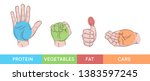 Hand gestures set isolated. Palm, fist, thumb up, cupped hand. Portions of food. Infographic. Modern beautiful style. Realistic. Flat style vector illustration. Signs and icons. Different positions.