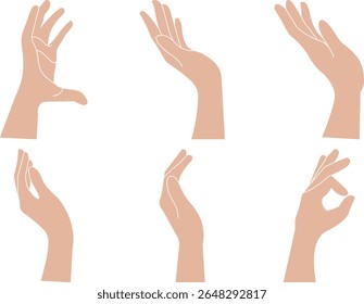 Hand Gestures Vetor Icon Collection - Cartoon Polegar para Cima, Apontar, Sinal de OK, Coração e Mãos Segurando.
