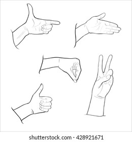 Hand gestures - vector illustration.