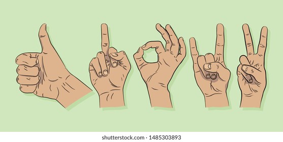Hand gestures. Vector illustration with various gestures. Ok, rock, peace, like.