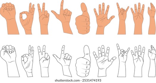 Conjunto de iconos de línea de ilustración de contorno de Vector de gestos de mano. Conjunto de vista de rotación de manos y dedos humanos que muestran diferentes signos aislados sobre un fondo blanco.