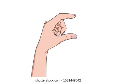 hand gesturing a small amount, isolated on white background. hand measuring invisible items, woman's palm. Isolated vector illustration