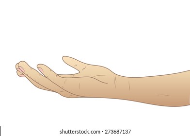 The hand given palm up. Vector illustration.