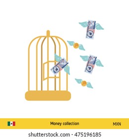 Hand giving Mexican Peso banknote and present gift instead. Shopping design over white background, vector illustration. 