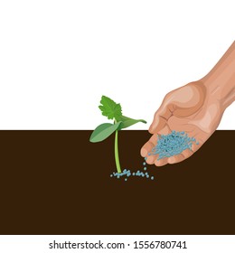 Hand giving mineral fertilizer to young plant. Vector illustration isolated on white background