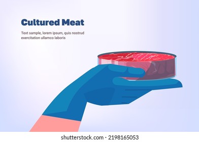 hand in gloves holding cultured raw red meat made from animal cells artificial lab grown meat production concept