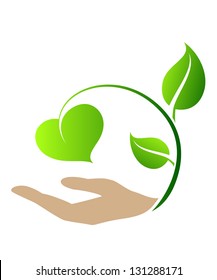 hand and a green branch