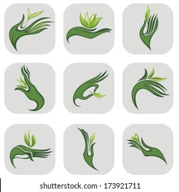 Hand with green symbol leaves