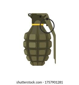 Hand Grenade Flat Style Isolated On Stock Vector (Royalty Free ...