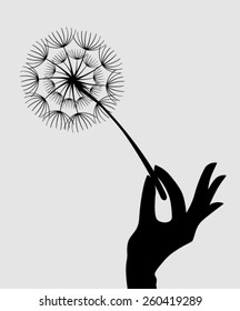 Hand handle Dandelions on the grey  background. Vector 