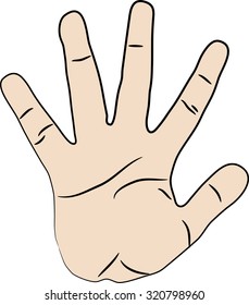 the hand has five fingers