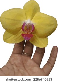 hand held yellow orchid flower against a white background