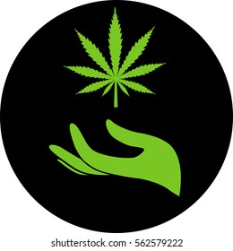 hand with hemp on a black background