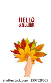 Hand hold autumn colorful leaves bright bouquet fall, floral. Hello Autumn lettering. Vector illustration isolated