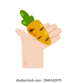 Mano sostén la zanahoria. Hortalizas de naranja en la palma. Comida vegetariana. Cosechando.