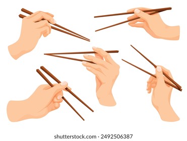 Hand hold chopsticks. Hands holding chopstick for eat asian seafood, japanese chop stick japan chinese sushi food eating tool in arm, oriental cartoon neat vector illustration authors graphics