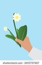 Hand hold daisy flower. vector