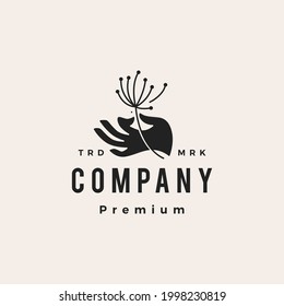 hand hold dandelion hipster vintage logo vector icon illustration