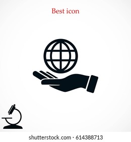 hand hold globe - vector icon, flat design best vector icon