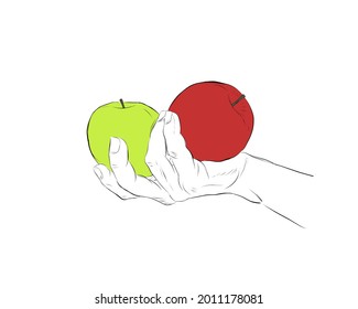 hand hold green and red Apple vector illustration