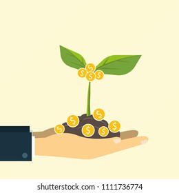 Hand hold Growing tree with gold coin. investment concept