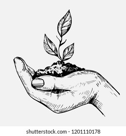 Hand hold plant. Hand drawn illustration converted to vector