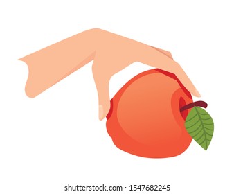 Hand hold the red apple with green leaf flat vector illustration isolated on white background