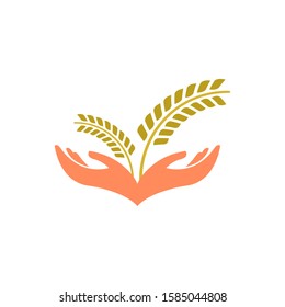 Hand hold wheat logo template vector icon design