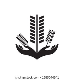 Hand hold wheat logo template vector icon design