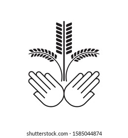 Hand hold wheat logo template vector icon design