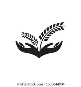 Hand hold wheat logo template vector icon design