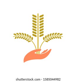 Hand hold wheat logo template vector icon design