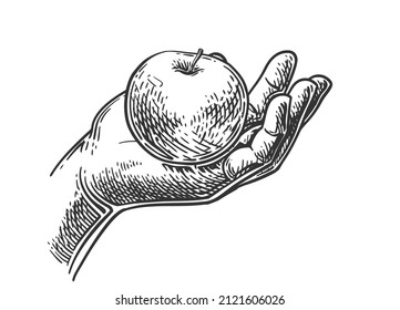 Hand holding apple. Vector engraving illustration for web, poster. Hand drawn design element isolated on white background.