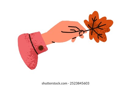 Hand holding autumn maple tree leaf. Showing delicate dry red fall seasonal foliage, nature beauty in arm, fingers. Botanical flat vector illustration isolated on white background