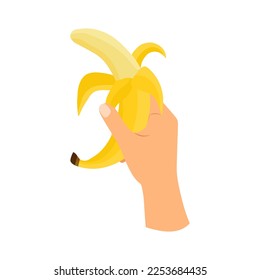 Mano sosteniendo fruta bananera. La mano contiene un plátano medio pelado en un estilo plano aislado. ilustración vectorial.