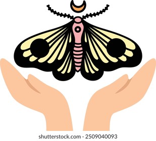A hand holding a beautiful moth black.