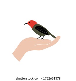 Hand holding bird vector illustration